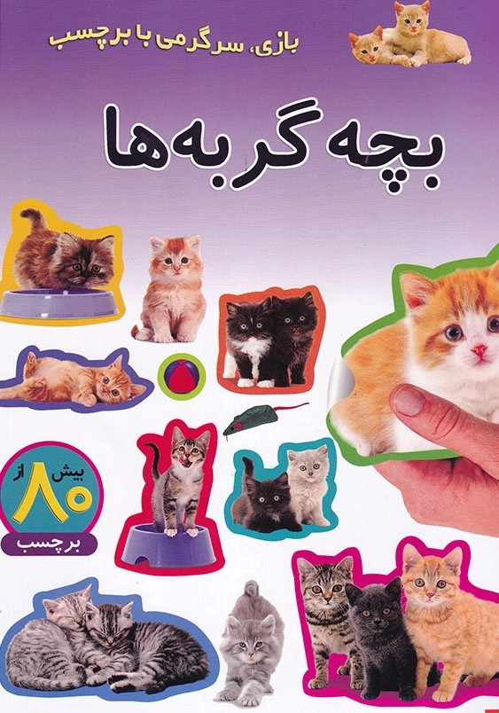 بازی، سرگرمی با بر چسب بچه گربه ها