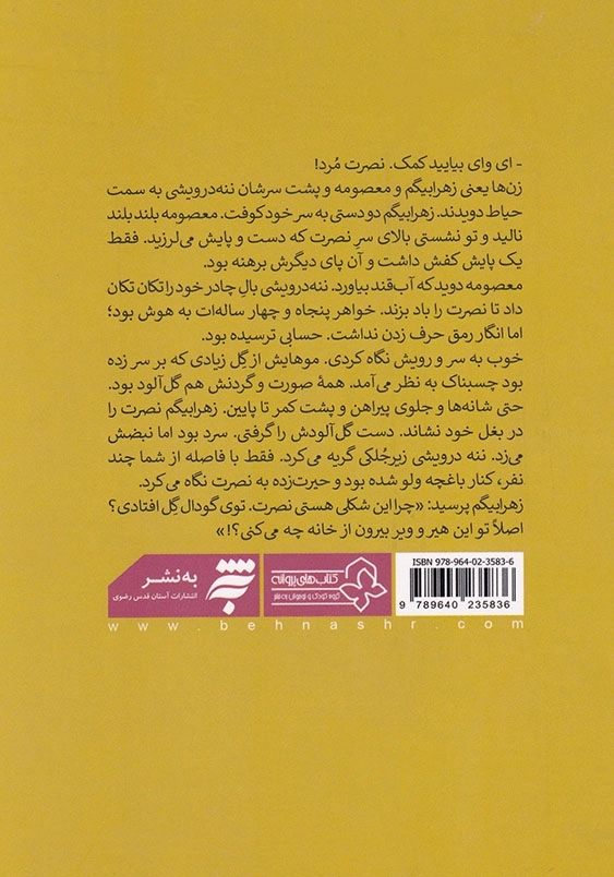 شبحی در پشت بام