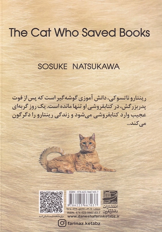 گربه ای که کتاب ها را نجات داد