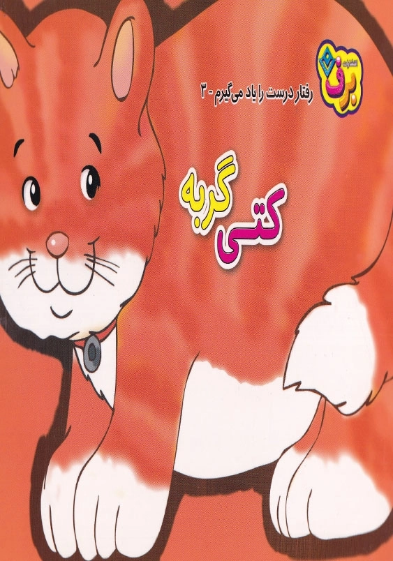 رفتار درست را یاد می گیرم 3 کتی گربه