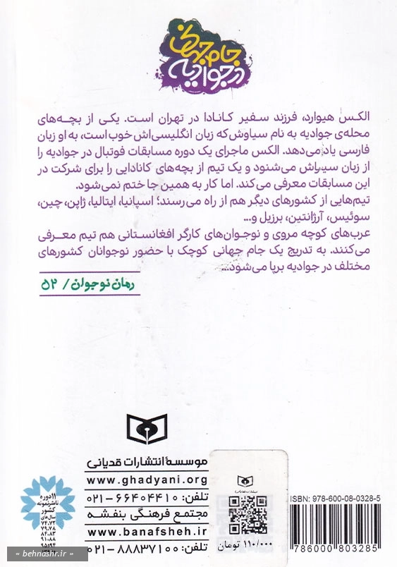 جام جهانی در جوادیه جیبی