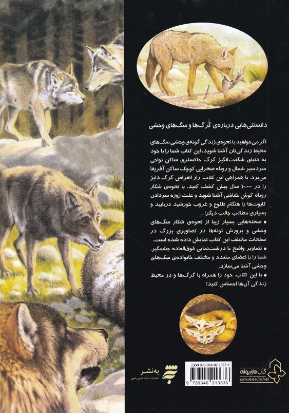 دانستنی هایی درباره گرگها و سگهای وحشی
