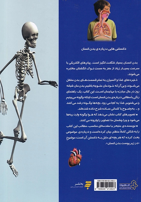 دانستنی هایی درباره ی بدن انسان