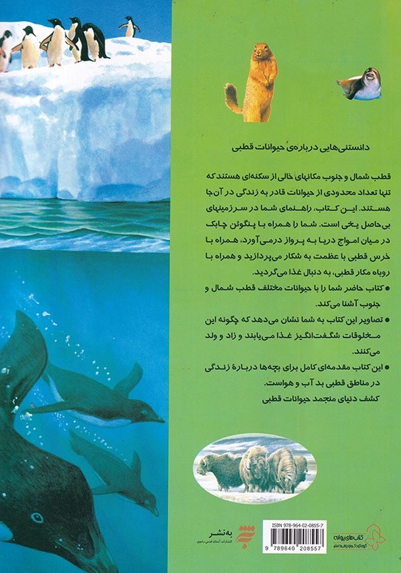 دانستنیهایی درباره حیوانات قطبی