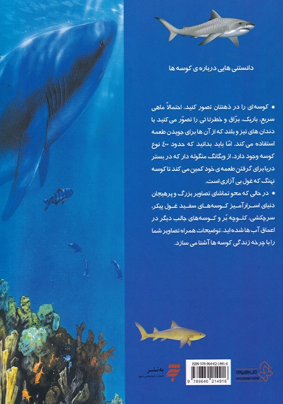 دانستنی هایی درباره ی کوسه ها