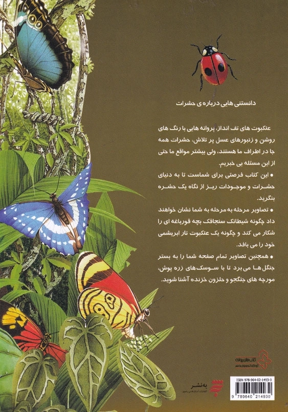 دانستنیهایی درباره ی حشرات