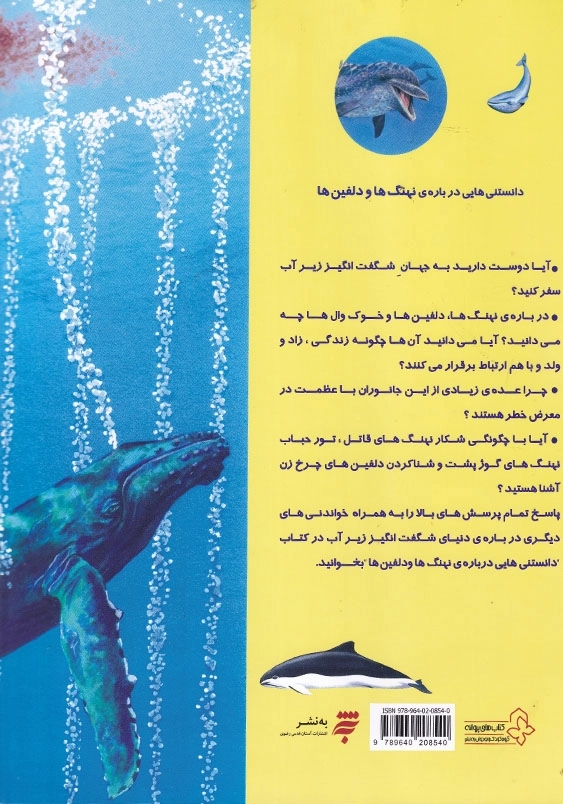 دانستنی هایی درباره نهنگها و دولفینها