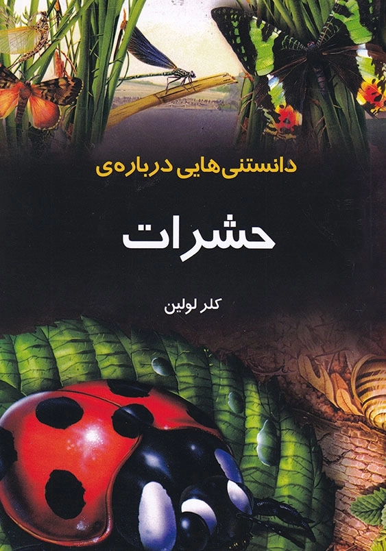 دانستنیهایی درباره ی حشرات