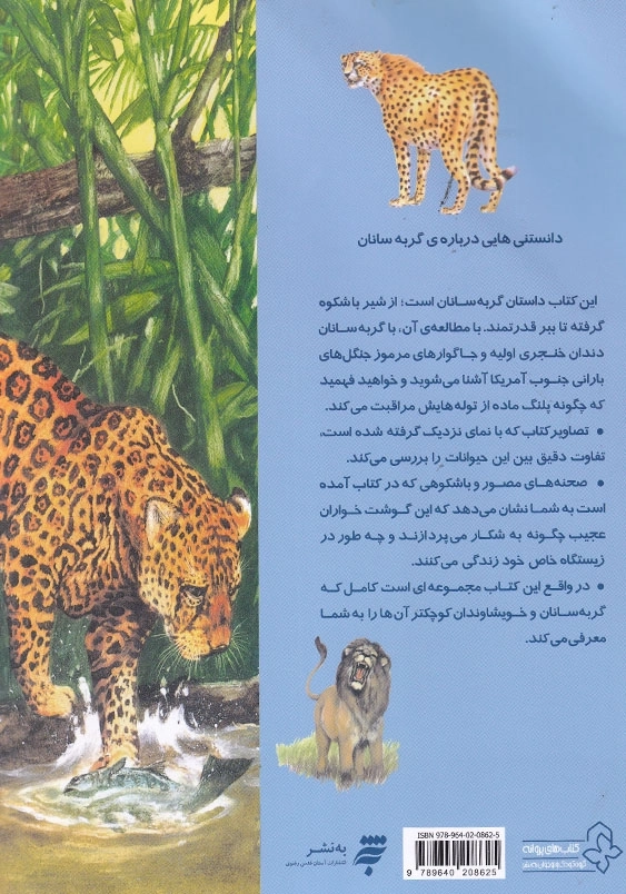 دانستنیهایی درباره گربه سانان