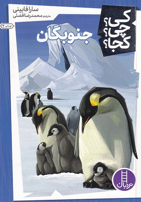 کی چی کجا جنوبگان