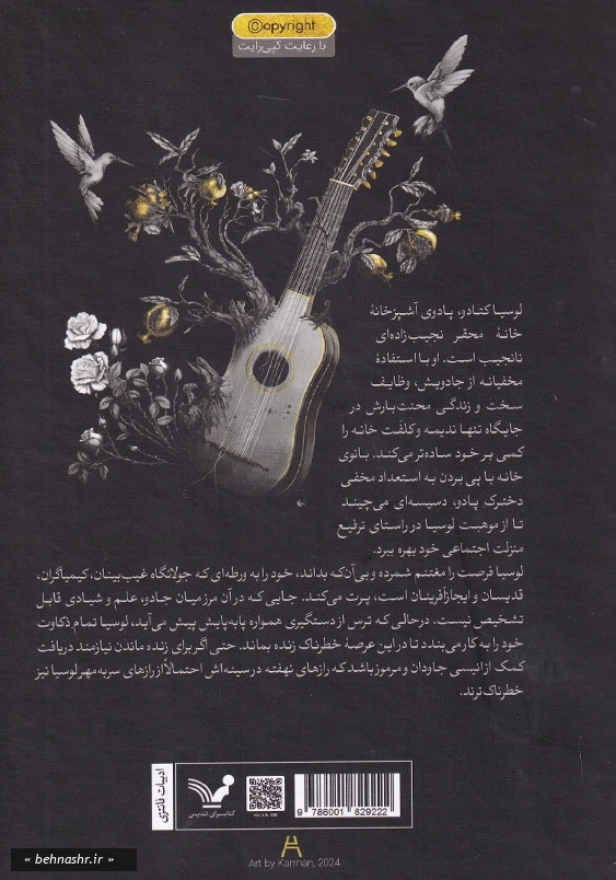 انیس