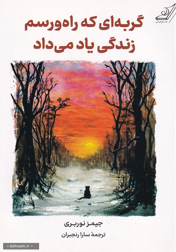 گربه ای که راه و رسم زندگی یاد می داد