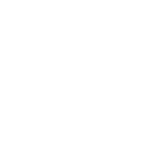 بینش نو