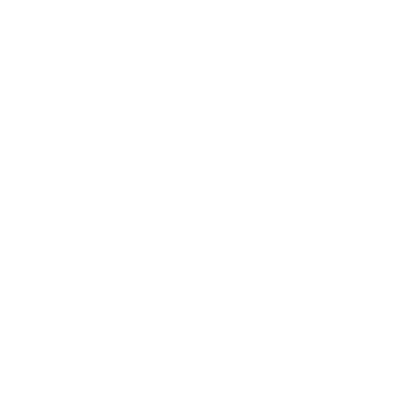 آریا نوین