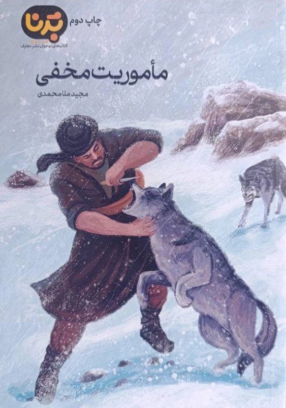 ماموریت مخفی