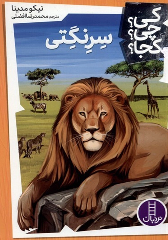 سرنگتی:کی چی کجا